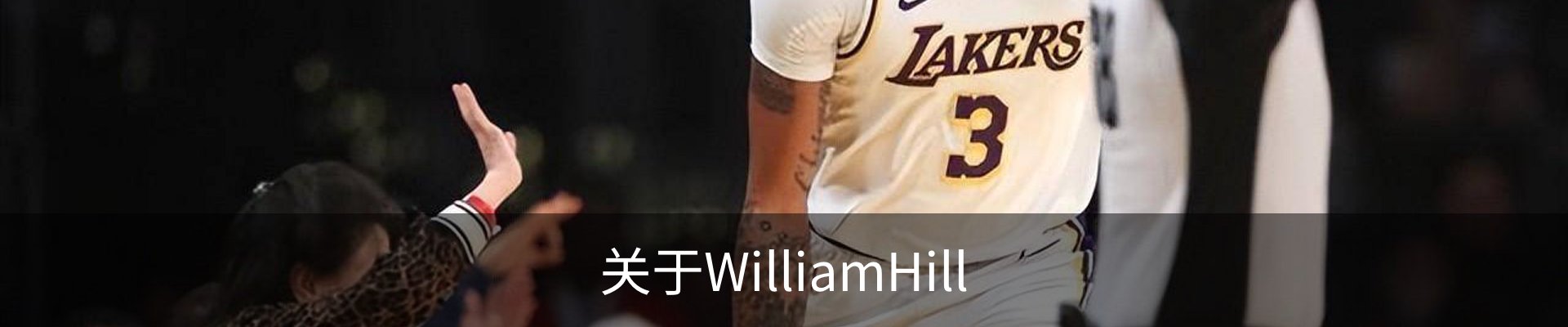 内页banner